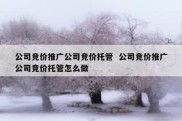 公司竞价推广公司竞价托管  公司竞价推广公司竞价托管怎么做