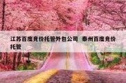 江苏百度竞价托管外包公司  泰州百度竞价托管