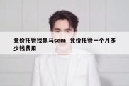 竞价托管找黑马sem  竞价托管一个月多少钱费用