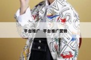 平台推广  平台推广营销