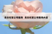 竞价托管公司服务  竞价托管公司服务内容