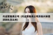 代运营服务公司（代运营服务公司济南兴田德润团队怎么样）