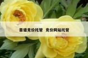 靠谱竞价托管  竞价网站托管
