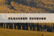 河北竞价托管案例  竞价托管价格表