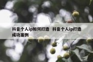 抖音个人ip如何打造  抖音个人ip打造成功案例