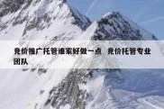 竞价推广托管谁家好做一点  竞价托管专业团队