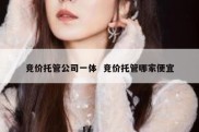 竞价托管公司一体  竞价托管哪家便宜