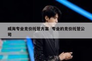 威海专业竞价托管方案  专业的竞价托管公司