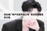 竞价推广账户托管专业公司  竞价托管服务多少钱