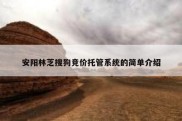安阳林芝搜狗竞价托管系统的简单介绍