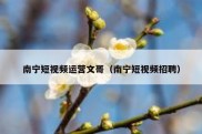 南宁短视频运营文哥（南宁短视频招聘）