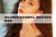 湖北口碑好的竞价托管中心  最好的竞价托管费用