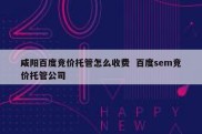 咸阳百度竞价托管怎么收费  百度sem竞价托管公司