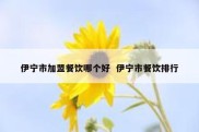 伊宁市加盟餐饮哪个好  伊宁市餐饮排行