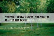 小程序推广计划入口0粉丝  小程序推广费用一个月需要多少钱