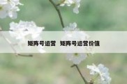 矩阵号运营  矩阵号运营价值
