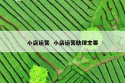 小店运营  小店运营助理主要