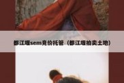都江堰sem竞价托管（都江堰拍卖土地）