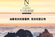 汕尾竞价托管案例  竞价托管公司