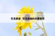 引流渠道  引流渠道的主要类型