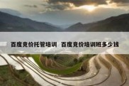 百度竞价托管培训  百度竞价培训班多少钱