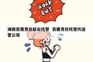 湖南百度竞价后台托管  百度竞价托管代运营公司