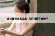 竞价托管文案温柔  竞价托管专业团队