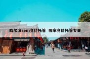 哈尔滨sem竞价托管  哪家竞价托管专业