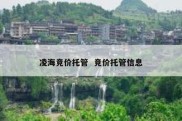 凌海竞价托管  竞价托管信息