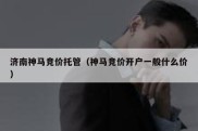 济南神马竞价托管（神马竞价开户一般什么价）