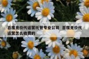 百度竞价代运营托管专业公司  百度竞价代运营怎么收费的