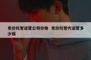 竞价托管运营公司价格  竞价托管代运营多少钱
