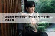 知名的托管竞价账户  竞价推广账户竞价托管多少钱