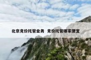 北京竞价托管业务  竞价托管哪家便宜