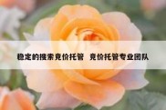 稳定的搜索竞价托管  竞价托管专业团队