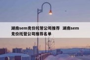 湖南sem竞价托管公司推荐  湖南sem竞价托管公司推荐名单
