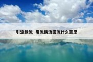 引流截流  引流截流回流什么意思