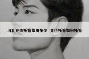 河北竞价托管费用多少  竞价托管如何托管