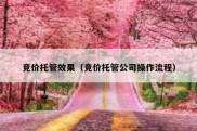 竞价托管效果（竞价托管公司操作流程）