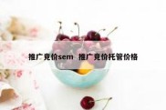 推广竞价sem  推广竞价托管价格