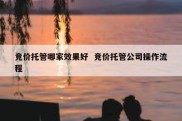竞价托管哪家效果好  竞价托管公司操作流程