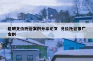 盐城竞价托管案例分享论文  竞价托管推广案例