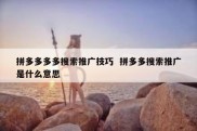 拼多多多多搜索推广技巧  拼多多搜索推广是什么意思