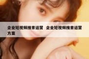 企业短视频搜索运营  企业短视频搜索运营方案