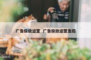 广告投放运营  广告投放运营急招