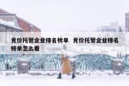 竞价托管企业排名榜单  竞价托管企业排名榜单怎么看