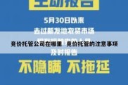 竞价托管公司在哪里  竞价托管的注意事项