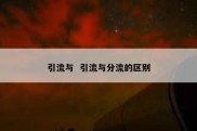 引流与  引流与分流的区别