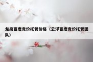 龙泉百度竞价托管价格（云浮百度竞价托管团队）