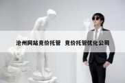沧州网站竞价托管  竞价托管优化公司